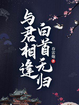 与君相逢白首无归小说TXT