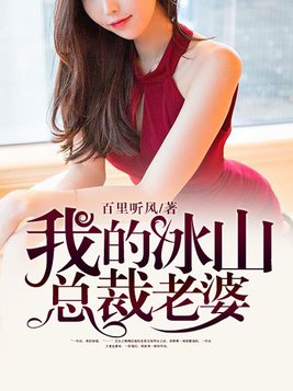 我的冰山的总裁老婆