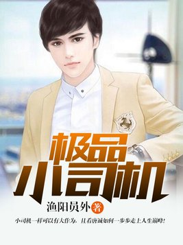 极品小司机小说