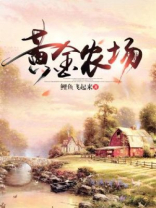 黄金农场 小说