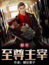 都市至尊主宰 小说