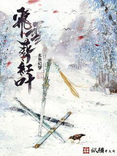飞雪葬红叶角色介绍