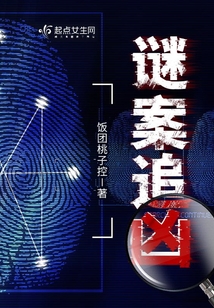 谜案追凶2电影在线观看免费