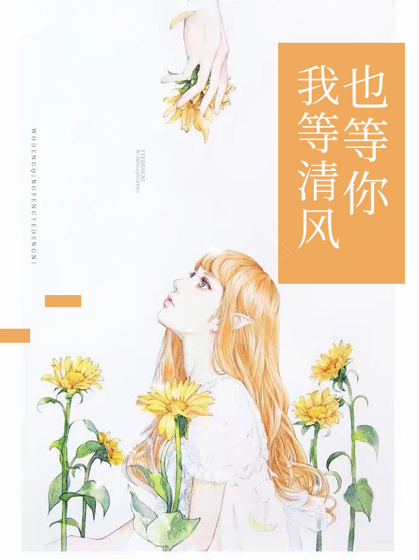 我等清风也等你小说