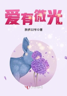 爱有微光小说免费阅读