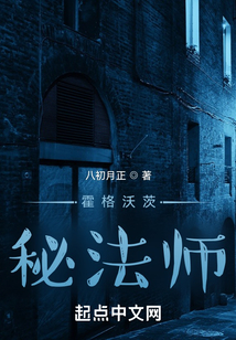 霍格沃茨至尊法师