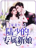 宠妻至上:陆少的专属新娘