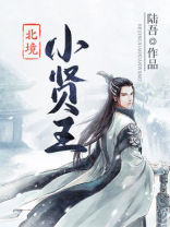北境小贤王女主
