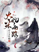 风雨大宋 安化军