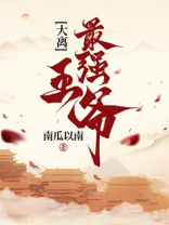 大秦之最强王爷
