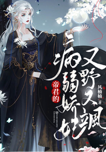 帝君的偏执男妃