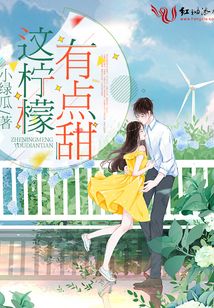 这柠檬有点甜 小说