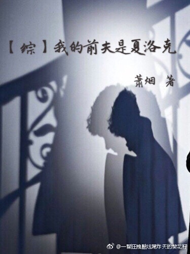 我的前夫是渣男小说