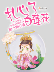 圣母心白莲花小说