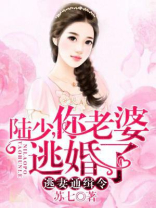 陆先生,你命里缺我莫小白
