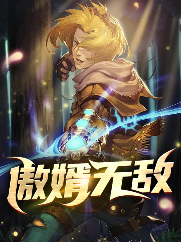 无敌傲婿电视剧免费观看