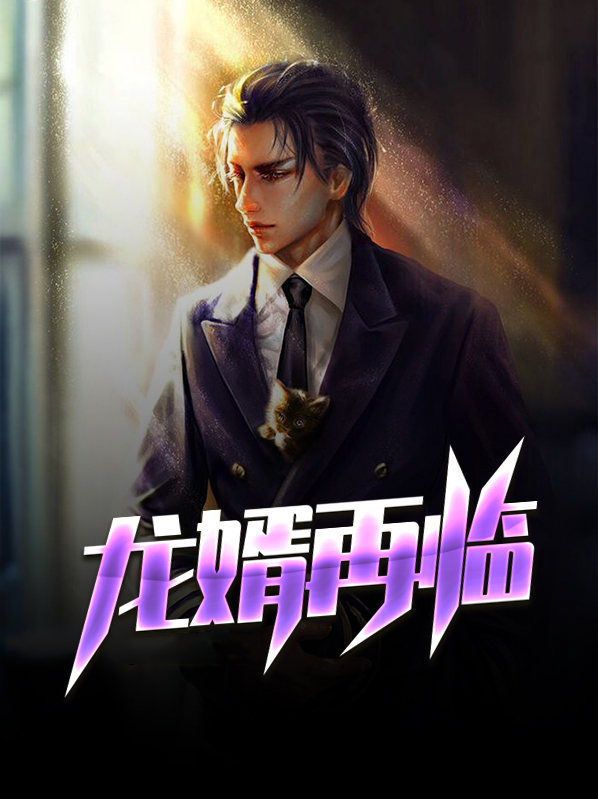 龙婿在上
