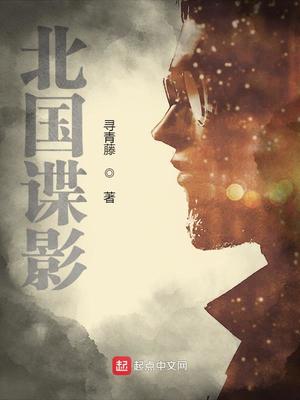 北国谍影TXT免费下载