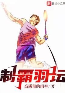制霸羽坛百度云下载