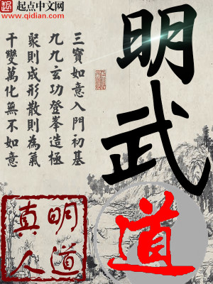 明武道 小说