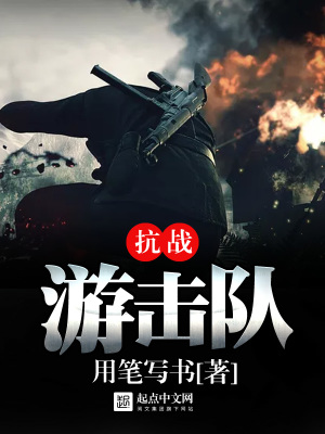 抗战游击队长小说