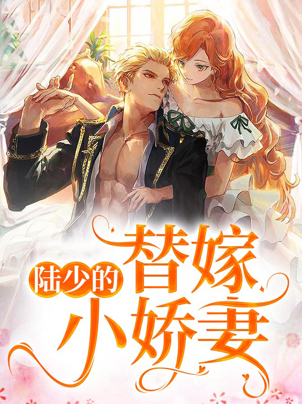 陆少的替嫁小娇妻什么时候