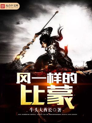 风一样的什么