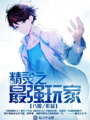 精灵之最强玩家小说
