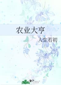 农业大亨百度网盘