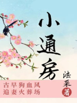小通房法采讲的什么