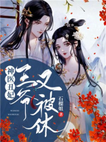神医丑妃王爷又被休夫了
