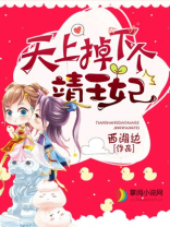 天上掉下个靖王妃TXT下载