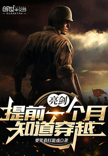 亮剑 穿越