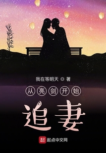 从亮剑开始追妻小说免费阅读