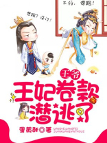 王爷,王妃卷款潜逃了