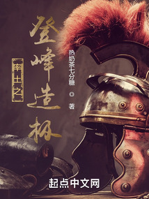 率土之登峰造极TXT