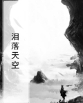 天空泪作品