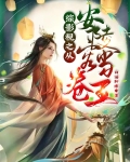 综影视：卷王带系统上大分