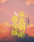 从此烟雨落金城