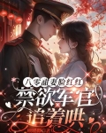 八零年代军婚小说
