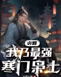 贞观：我乃最强寒门枭士