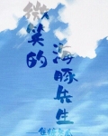 有只海豚想撩我
