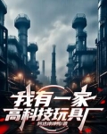 我有一家高科技玩具厂