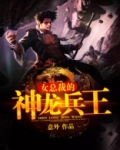 美女总裁的神龙兵王