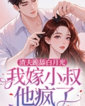 渣夫跪舔白月光,我嫁小叔他疯了免费阅读