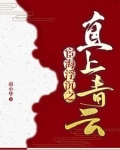 官场书记的第一红人
