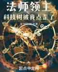 法师领主：科技树被我点歪了