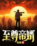 至尊帝婿