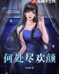 何处尽欢颜徐尽欢小说