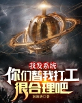 我发系统你们替我打工很合理吧